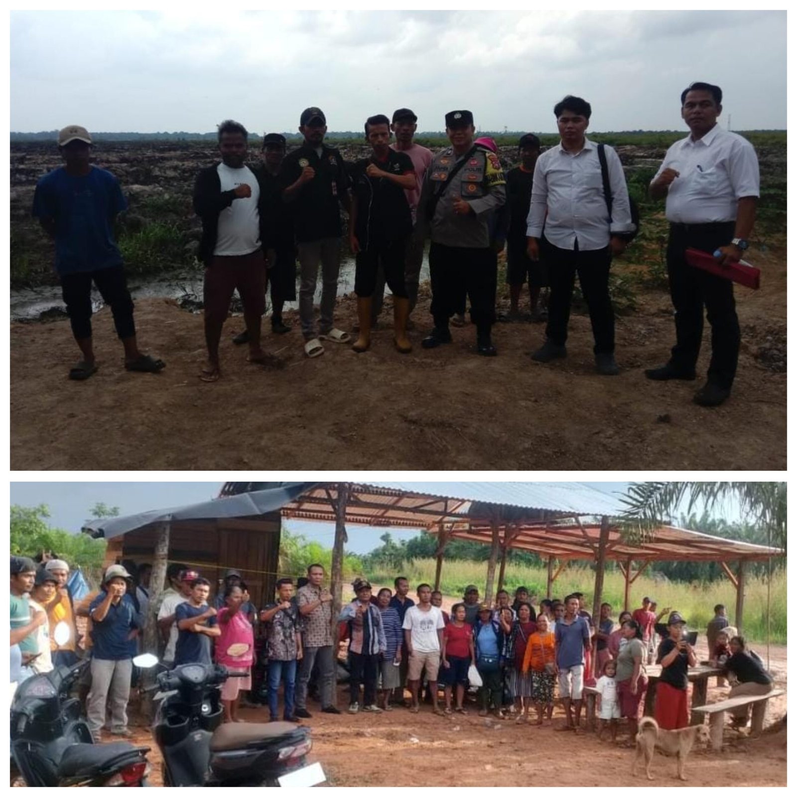 tvmiranda.com | Pengerusakan Sawit Warga D 30 Bengkalis Berujung Pada Kriminalisasi?