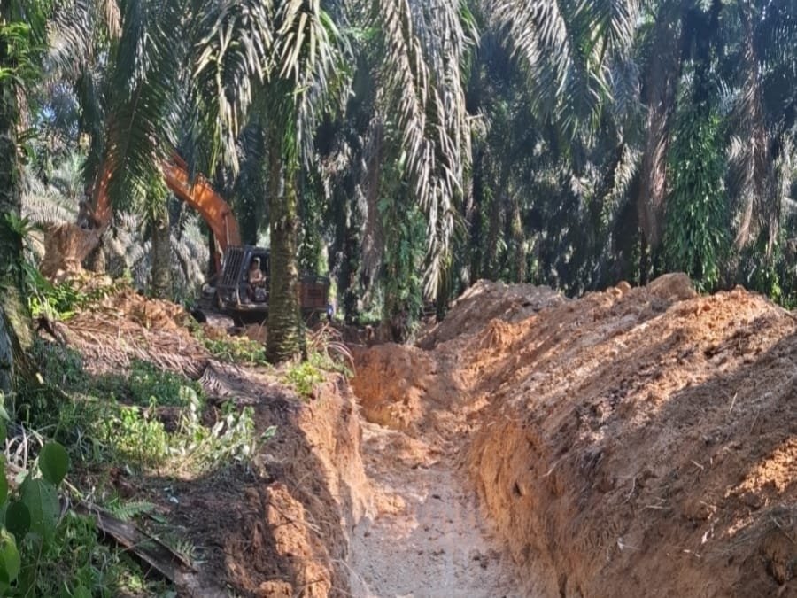 tvmiranda.com | PT Wanasari Tegaskan Kerja Dalam HGU Sah, Bantah Tuduhan Pihak Yang Justru Tak Berhak tvmiranda.com|PT Wanasari Tegaskan Kerja Dalam HGU Sah, Bantah Tuduhan Pihak Yang Justru Tak Berhak