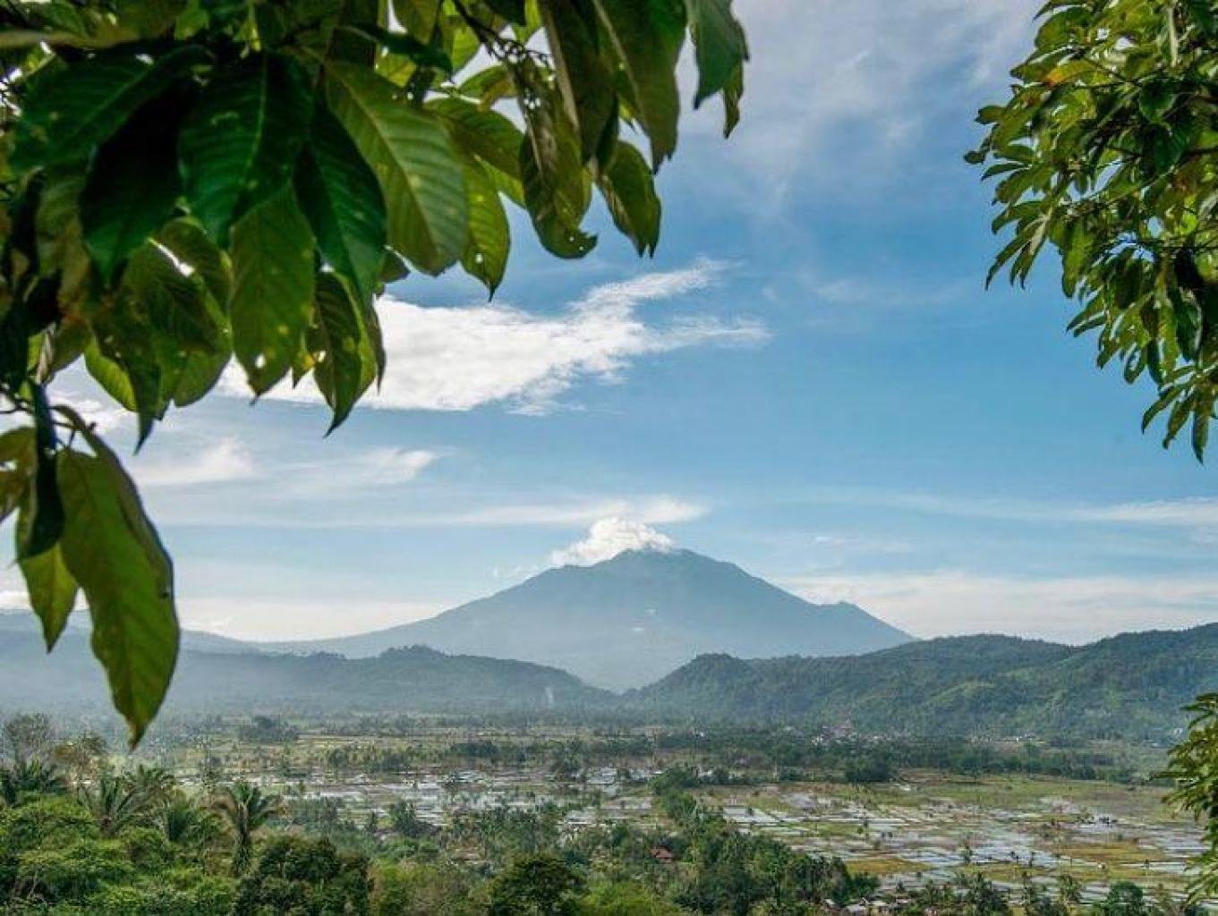tvmiranda.com | HUTAN & SISTEM ADAT NAGARI SINURUIK: PERISAI HIJAU UNTUK PASAMAN BARAT DAN DUNIA