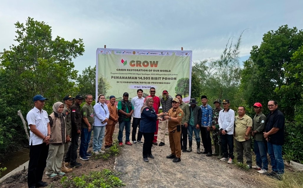 tvmiranda.com | Dukung Restorasi Pesisir, SKK Migas Sumbagut dan KKKS Wilayah Riau Lanjutkan Penanaman 800 Mangrove di Kepulauan Meranti