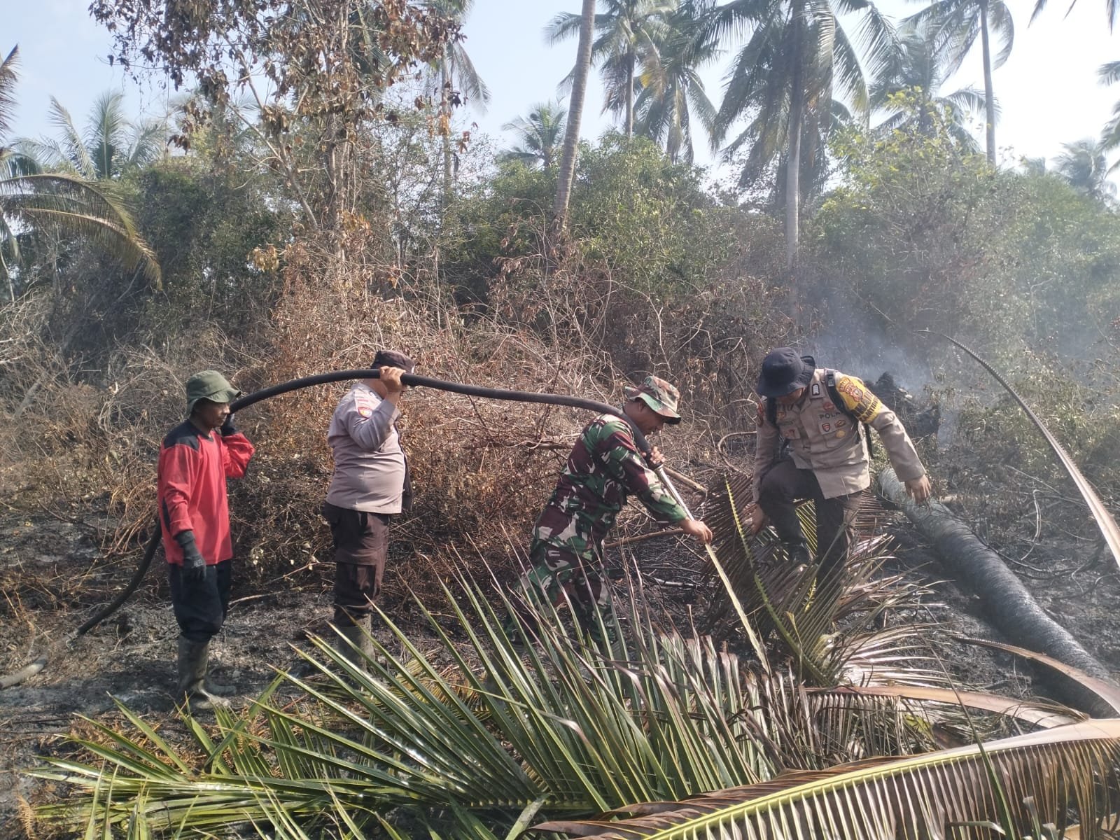 | Kolaborasi di Tengah Kobaran Api, Kodam XIX/Tuanku Tambusai Bersama Unsur Gabungan Tangani Karhutla Secara Terpadu di Bengkalis | Kolaborasi di Tengah Kobaran Api, Kodam XIX/Tuanku Tambusai Bersama Unsur Gabungan Tangani Karhutla Secara Terpadu di Bengkalis